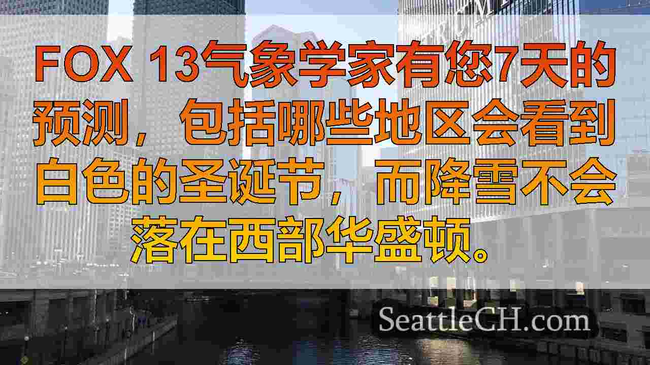 西雅图新闻 SeattleCH