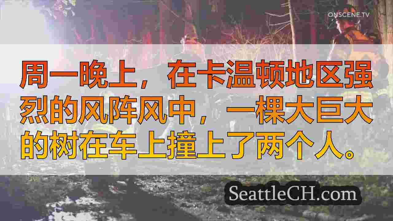 大巨树落在卡温顿的汽车上，里面有2个人