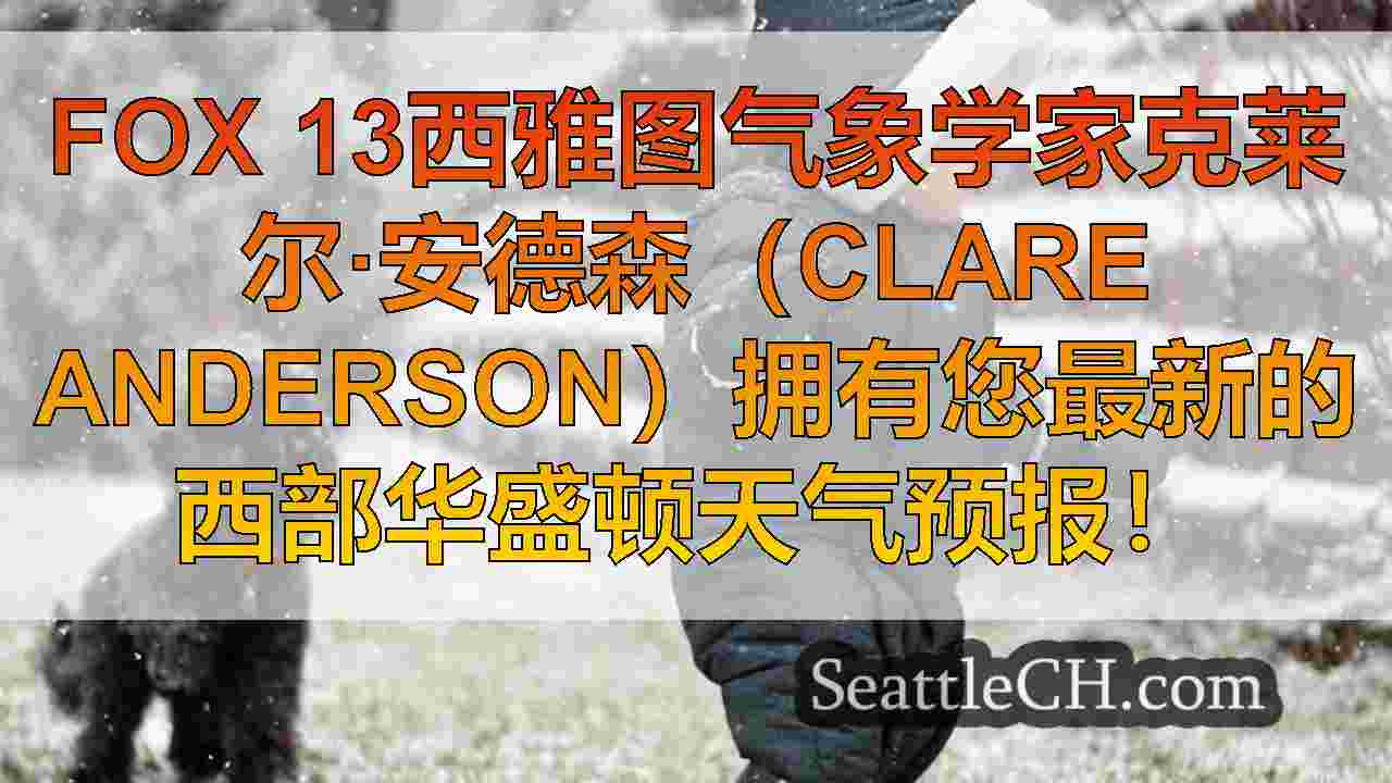 西雅图新闻 SeattleCH