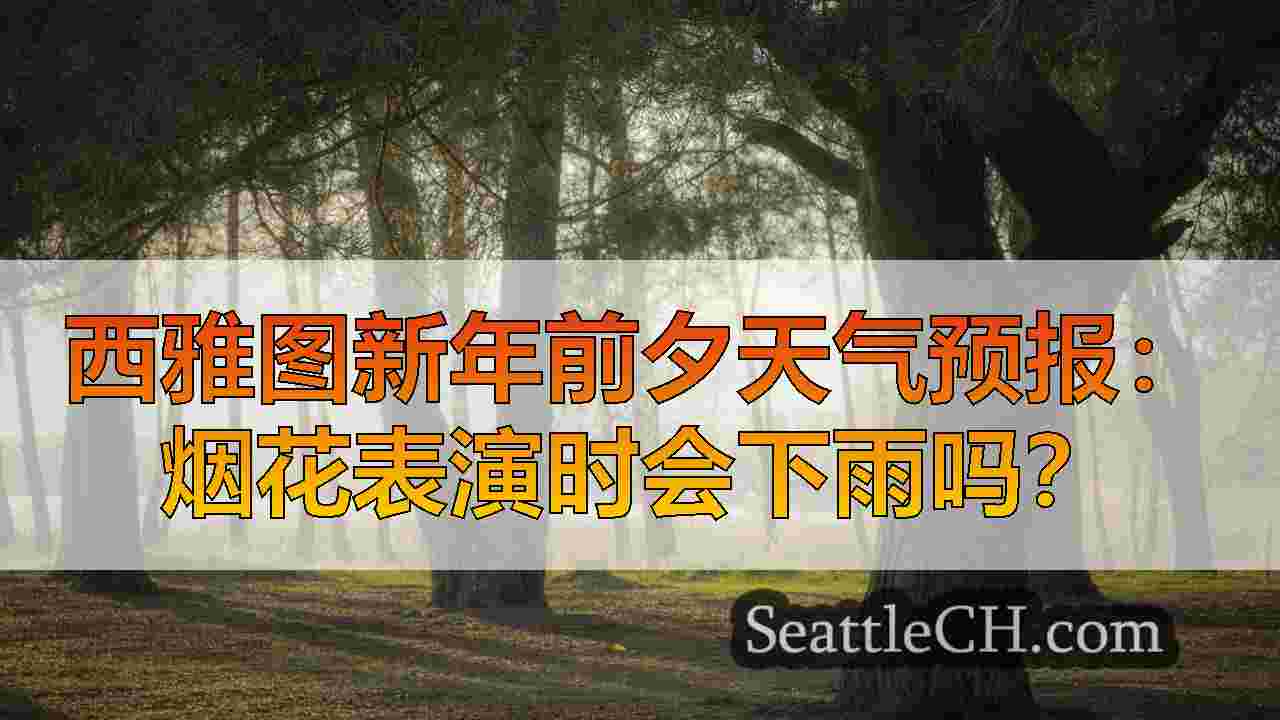 西雅图新闻 SeattleCH