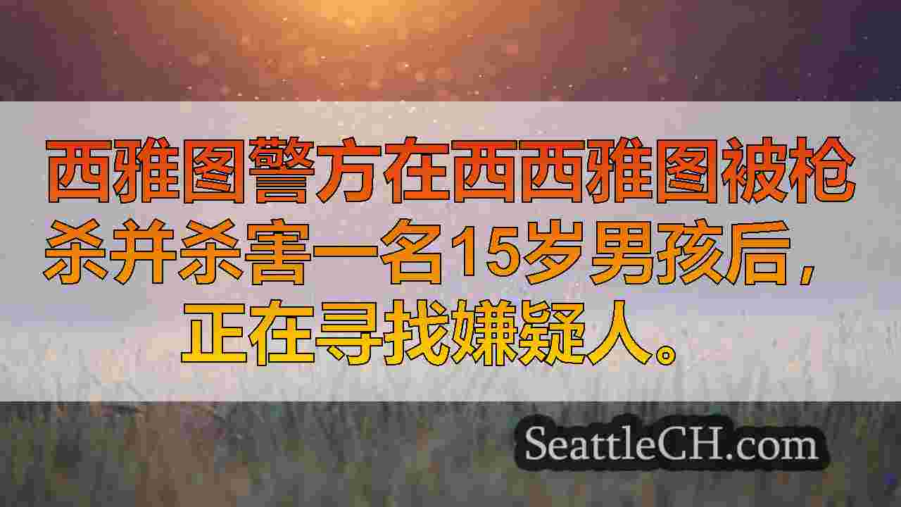 西雅图新闻 SeattleCH