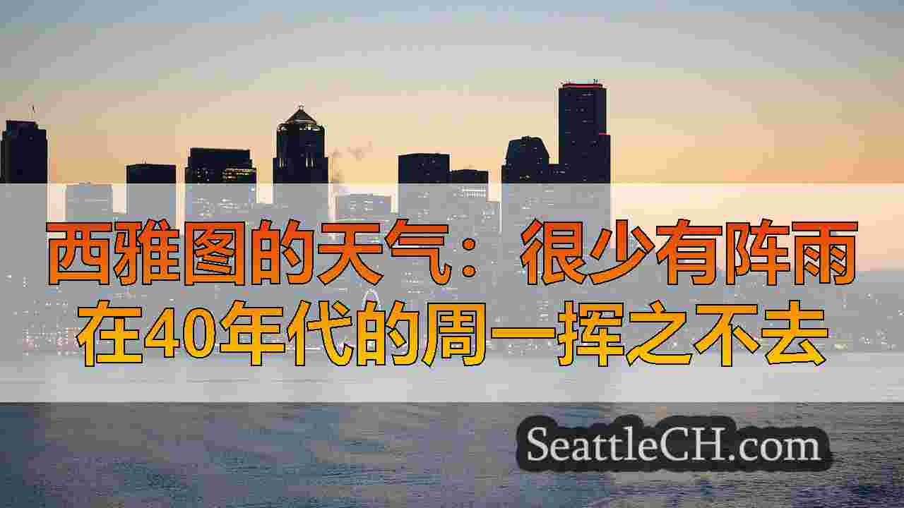 西雅图新闻 SeattleCH