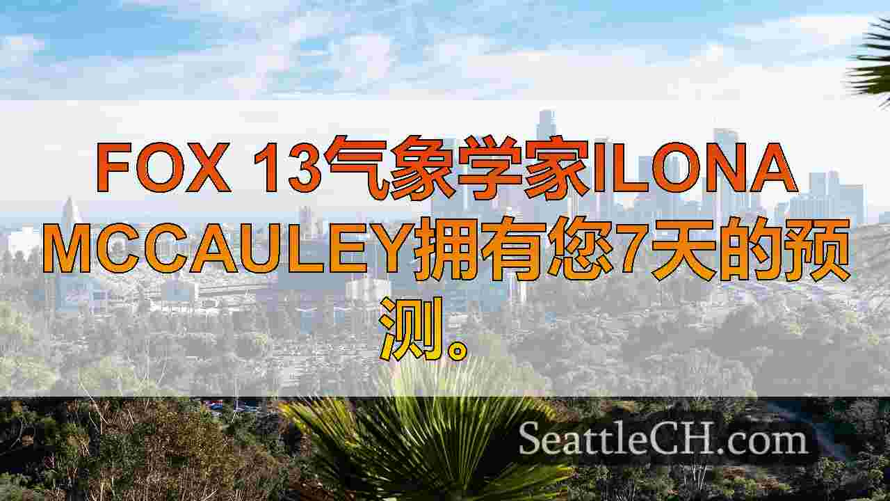 西雅图新闻 SeattleCH