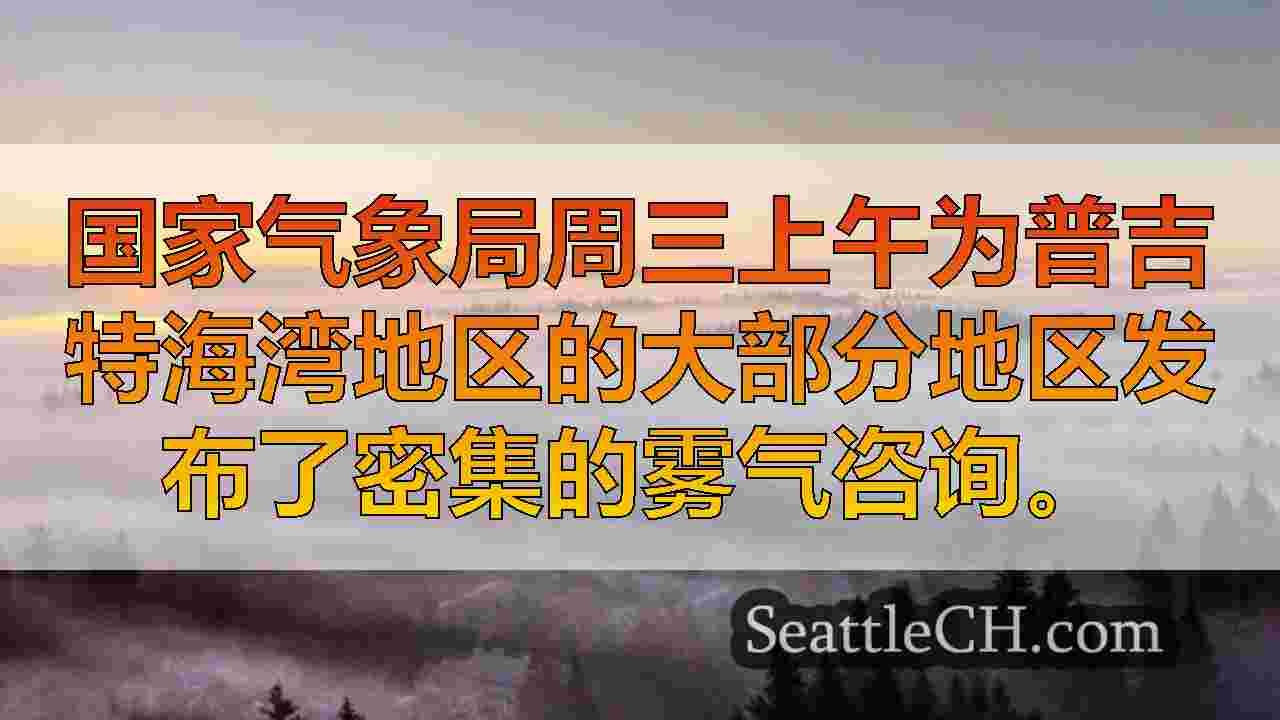 密集的雾在整个星期三慢慢举起，周四早些时候可能会口袋
