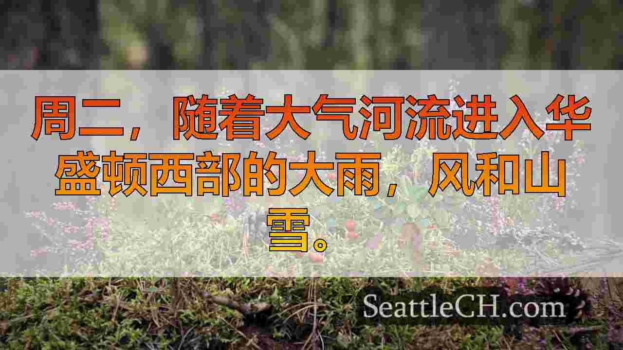 西雅图新闻 SeattleCH