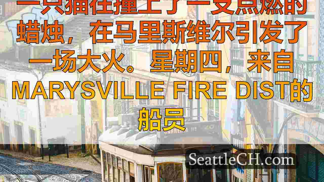 西雅图新闻 SeattleCH