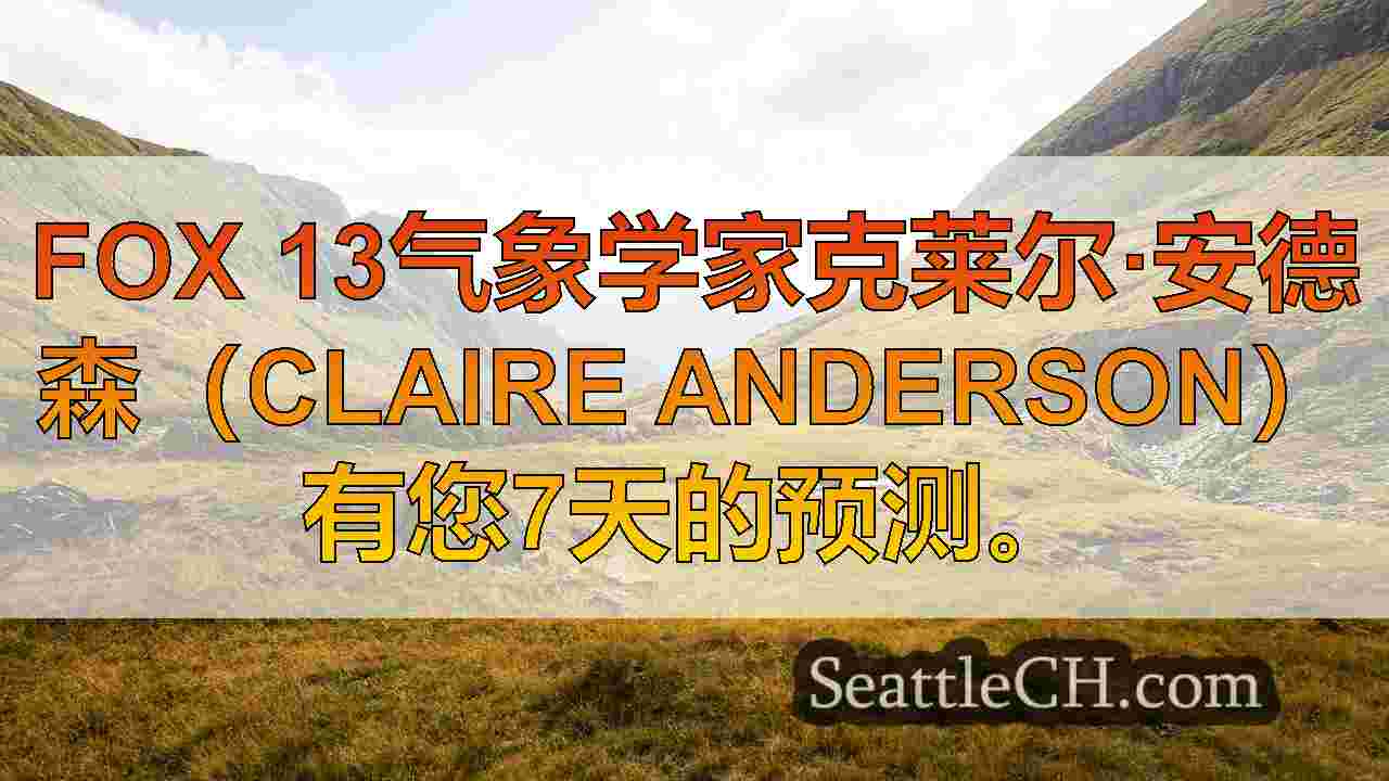 西雅图新闻 SeattleCH