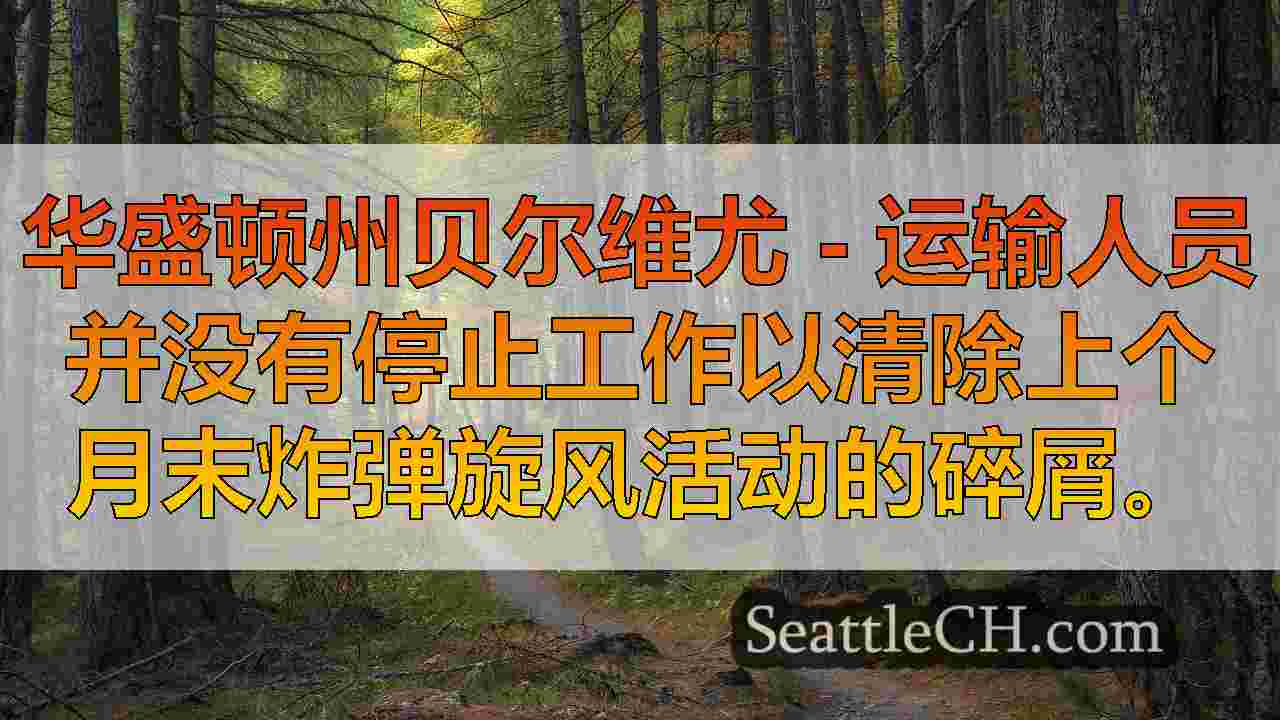 西雅图新闻 SeattleCH
