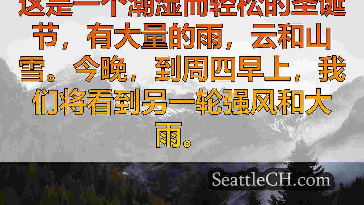 西雅图新闻 SeattleCH