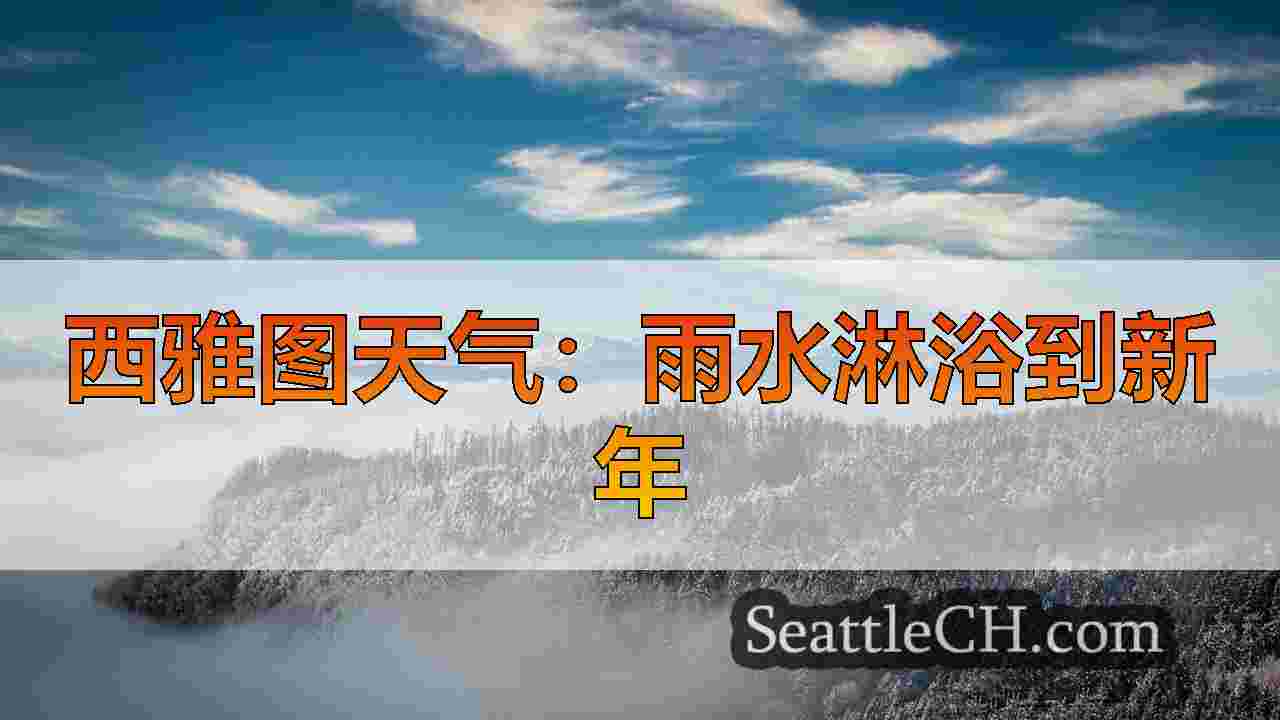 西雅图新闻 SeattleCH