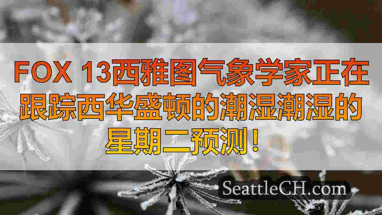 西雅图新闻 SeattleCH