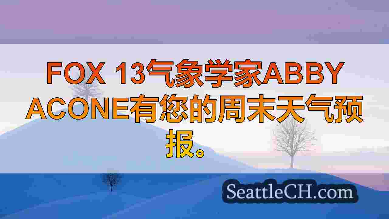西雅图新闻 SeattleCH