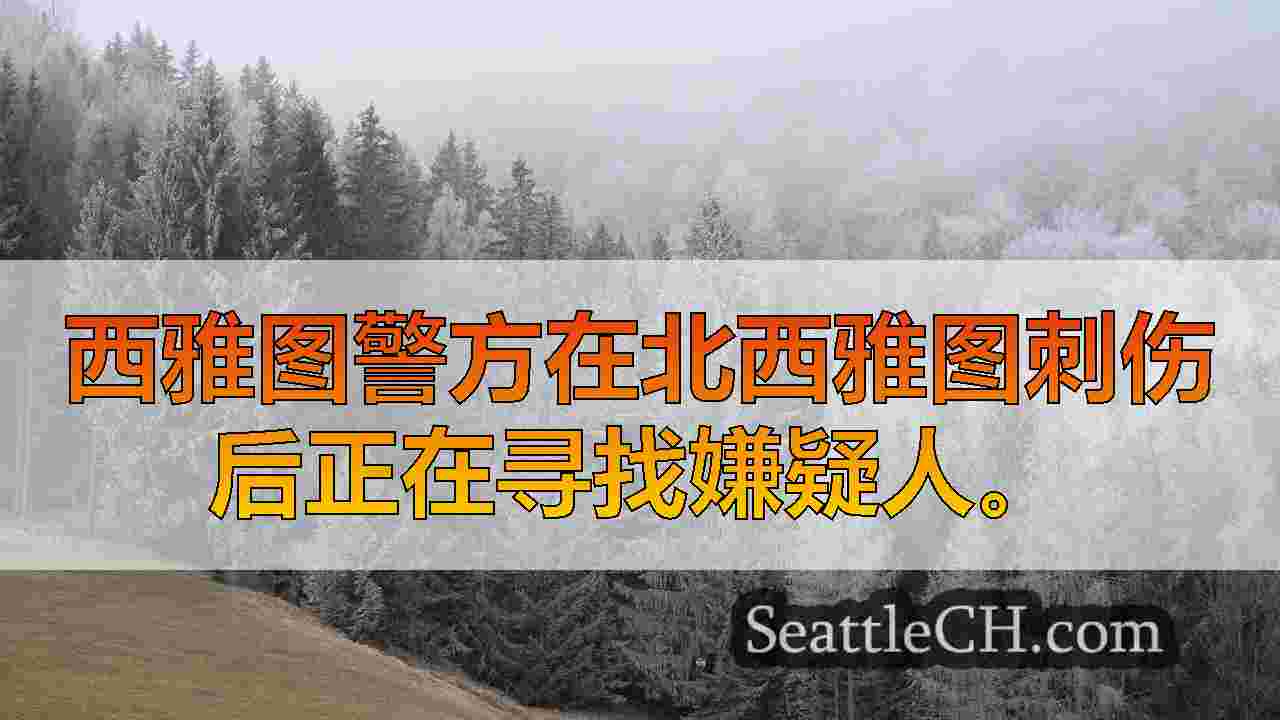 西雅图新闻 SeattleCH