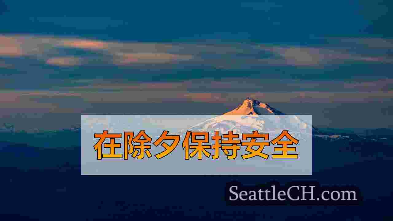 在新年的庆祝活动之前，西雅图警察在DUI巡逻