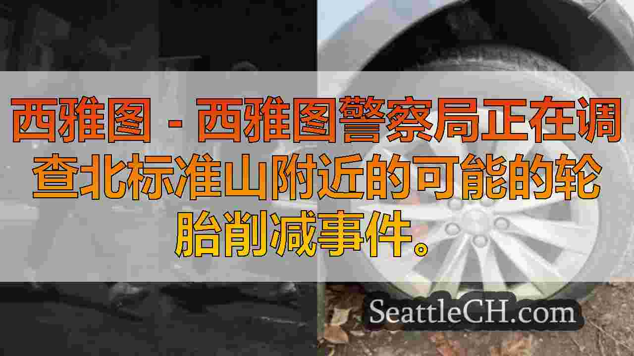 据称轮胎砍刀在保时捷中耕种北标山山