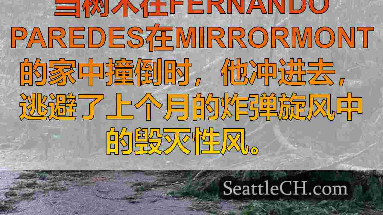 西雅图新闻 SeattleCH