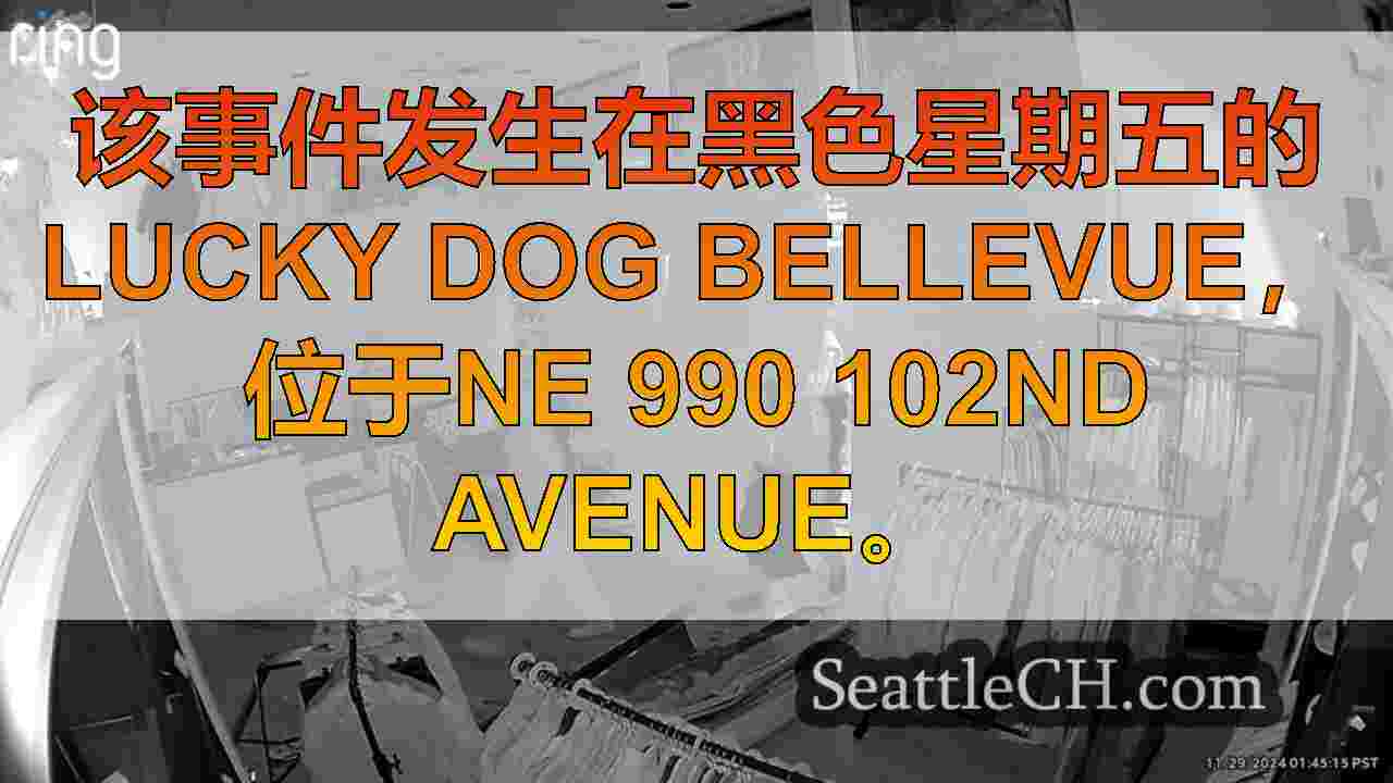 观看：盗贼公羊SUV进入贝尔维尤商店，在黑色星期五偷$ 100,000的商品
