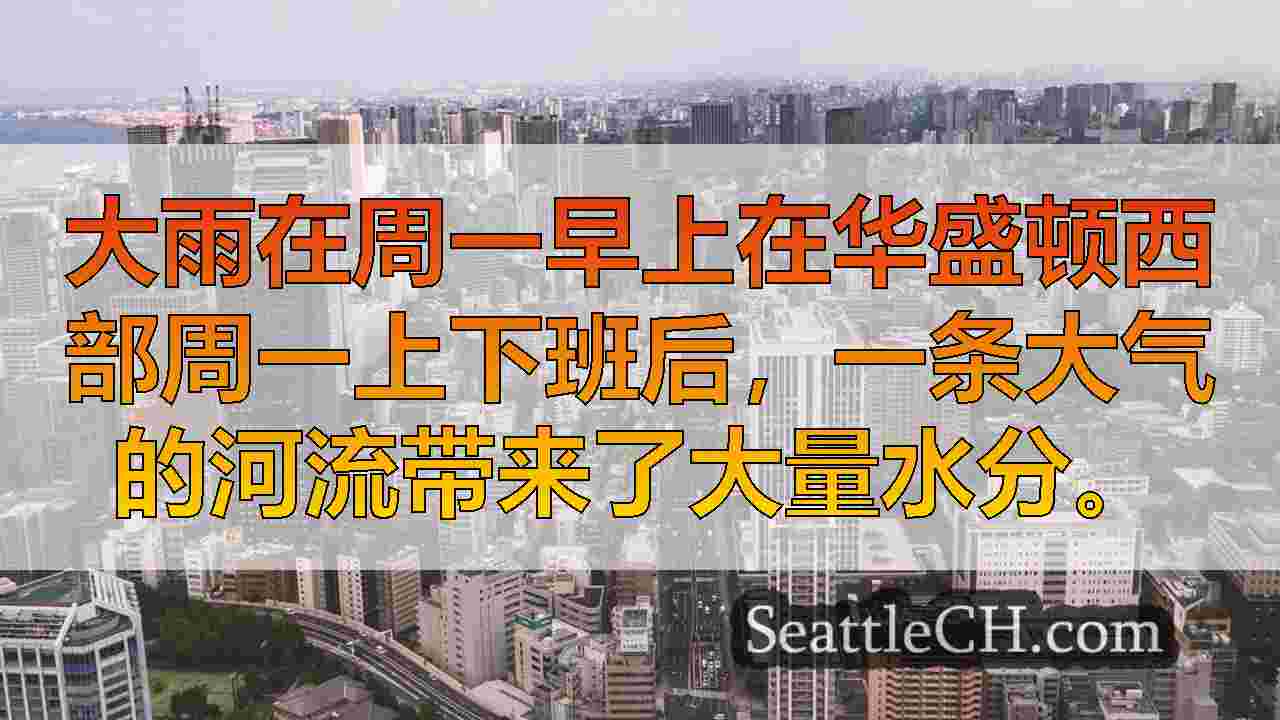 西雅图新闻 SeattleCH