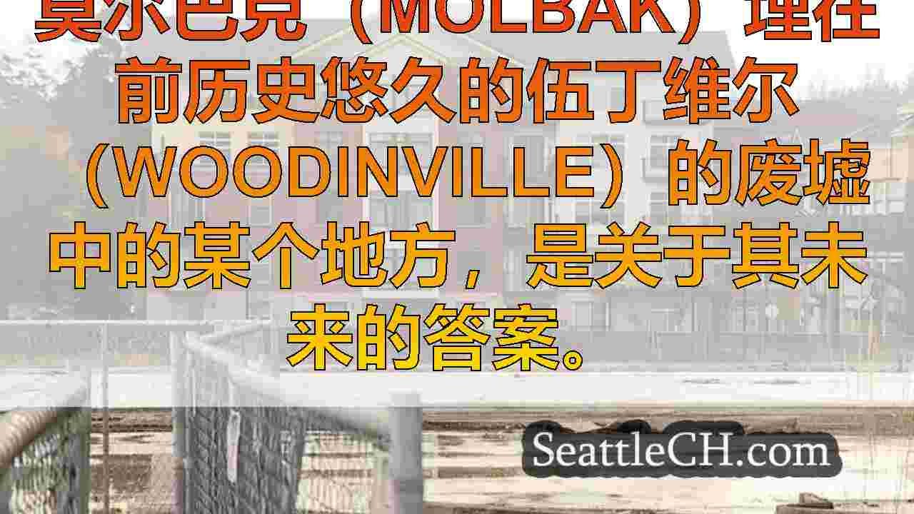 西雅图新闻 SeattleCH