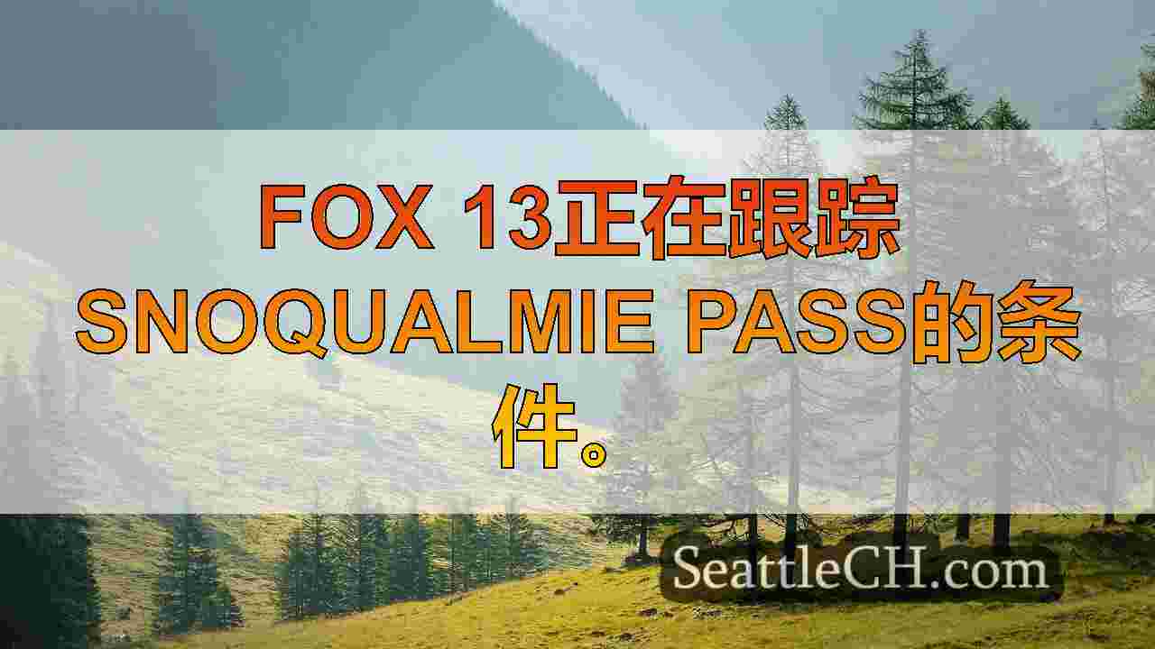 西雅图新闻 SeattleCH