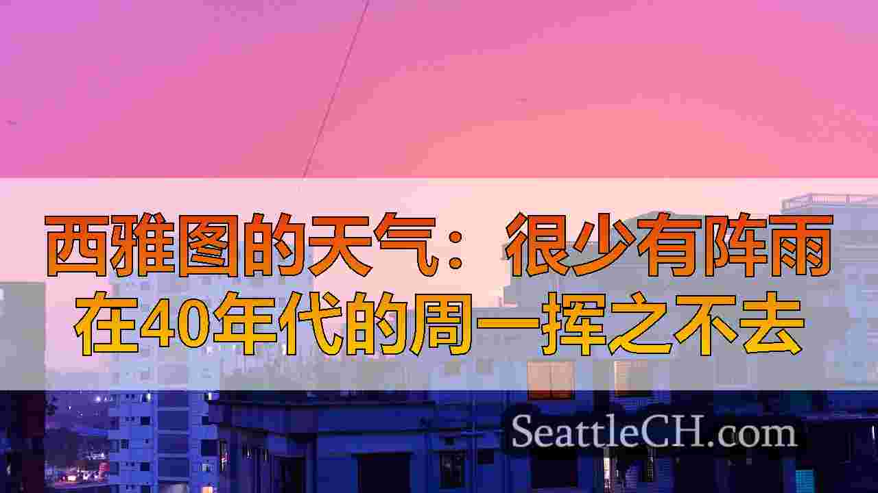 西雅图新闻 SeattleCH
