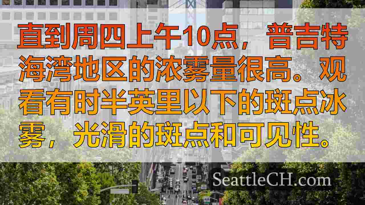 西雅图新闻 SeattleCH