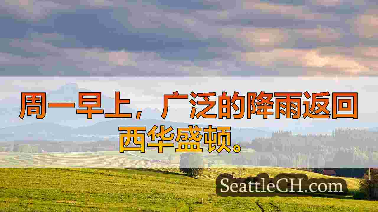 西雅图新闻 SeattleCH