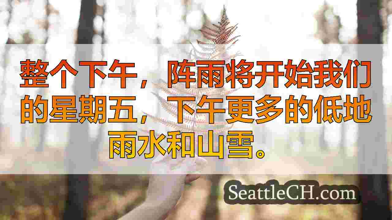 西雅图新闻 SeattleCH