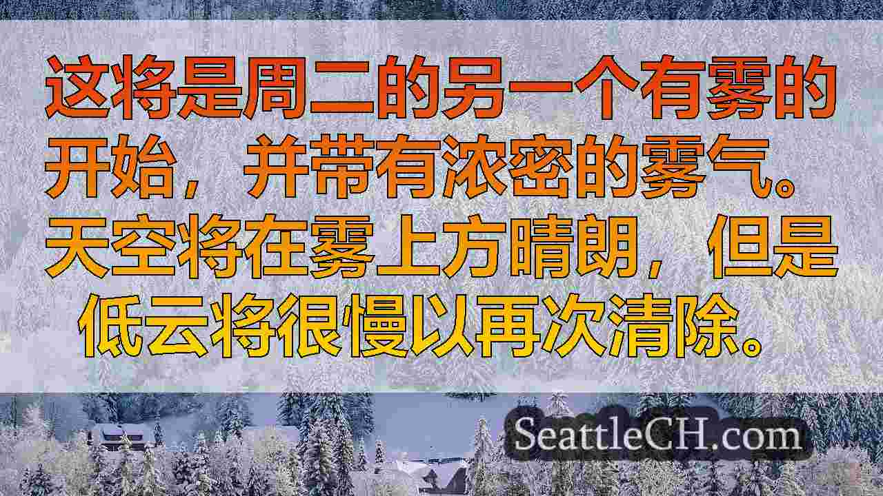 西雅图新闻 SeattleCH
