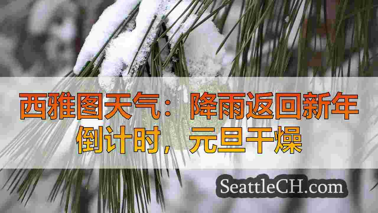 西雅图新闻 SeattleCH