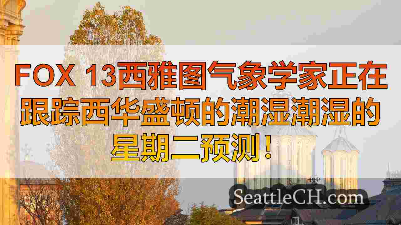 西雅图新闻 SeattleCH
