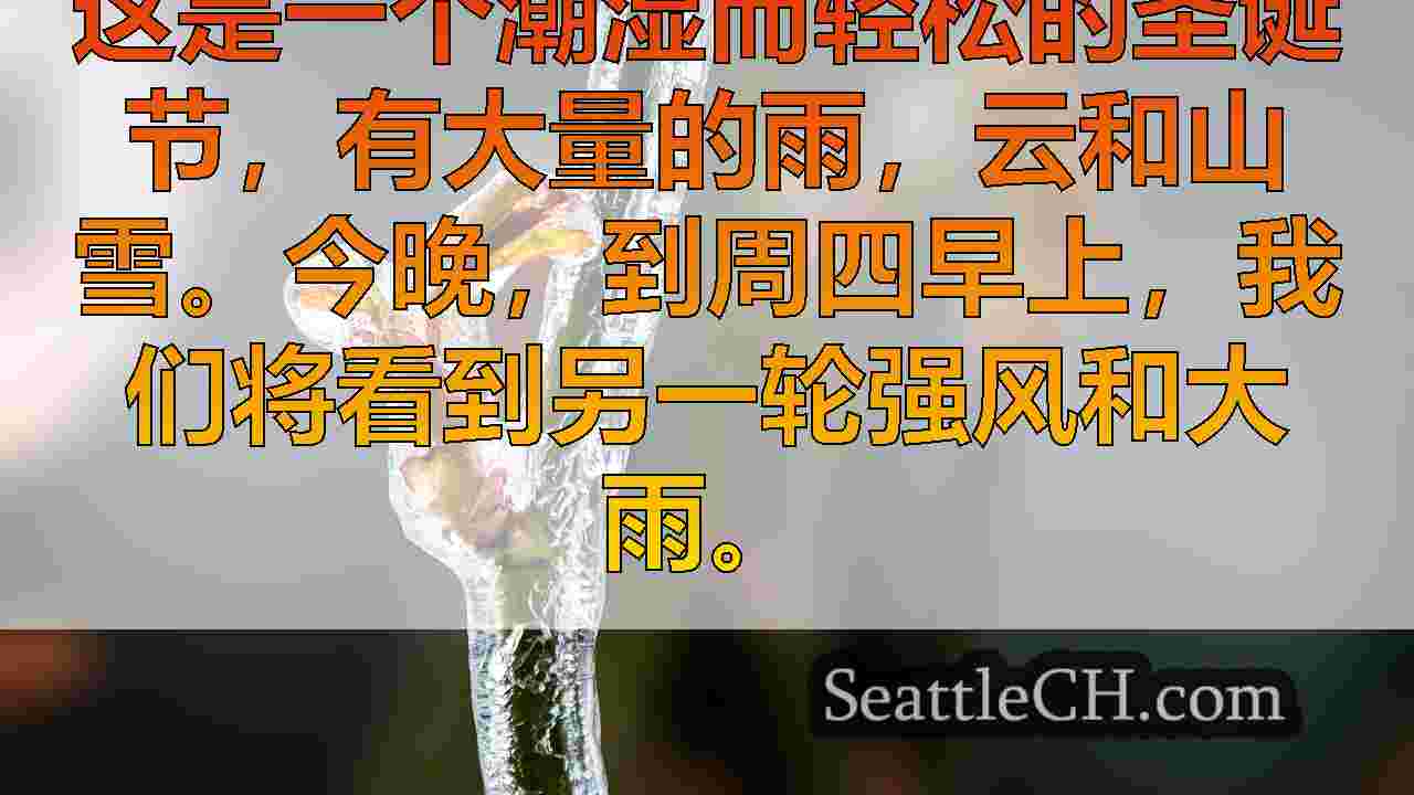 西雅图新闻 SeattleCH