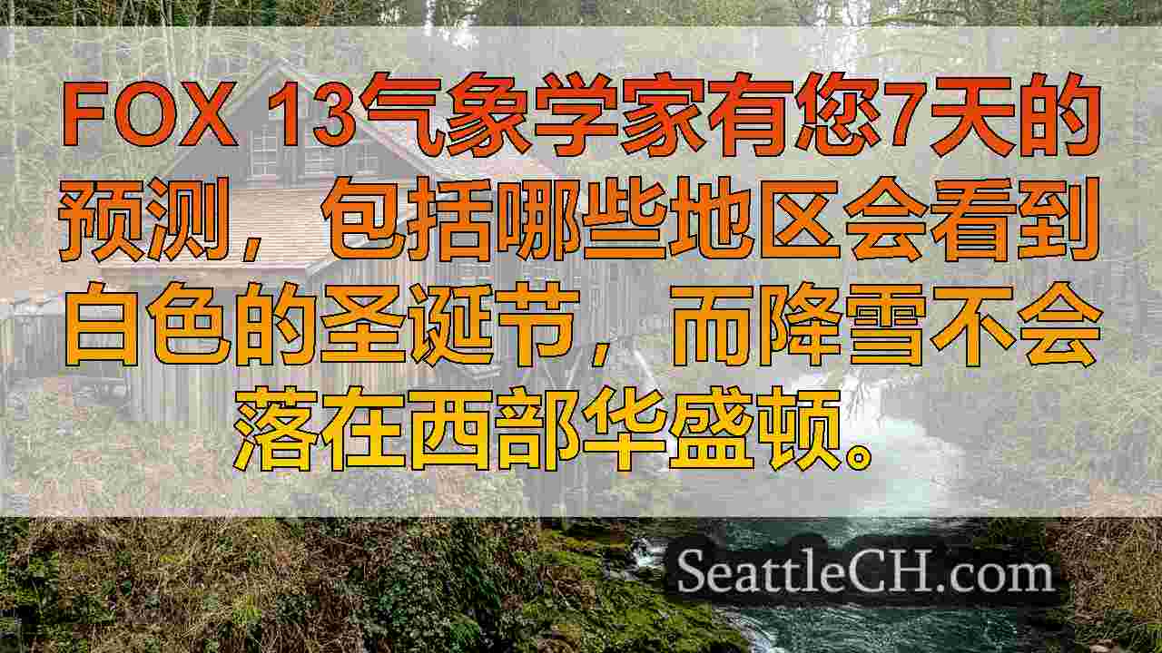 西雅图新闻 SeattleCH