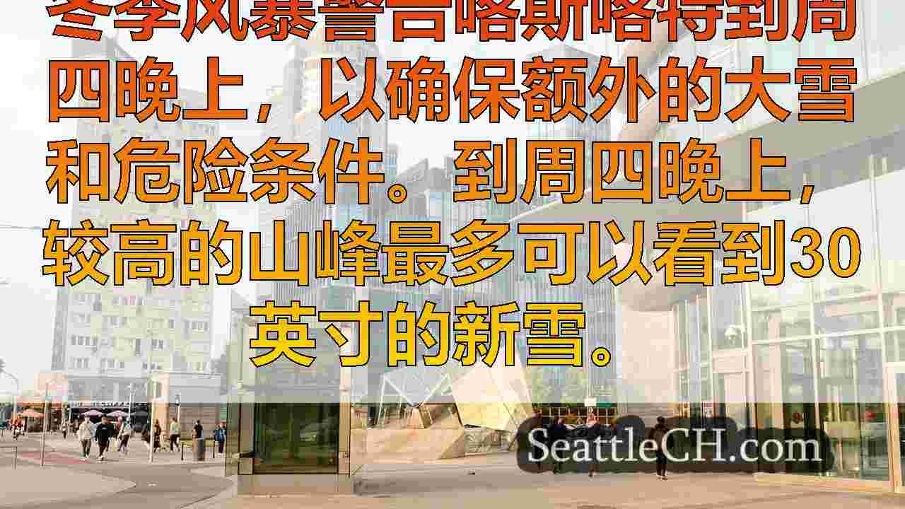 西雅图新闻 SeattleCH