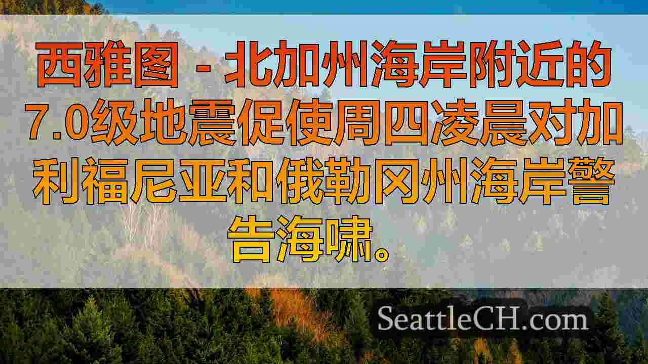 西雅图新闻 SeattleCH