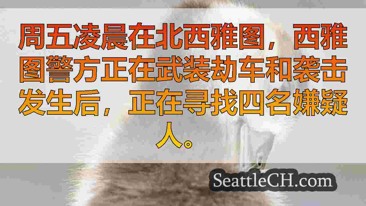西雅图新闻 SeattleCH