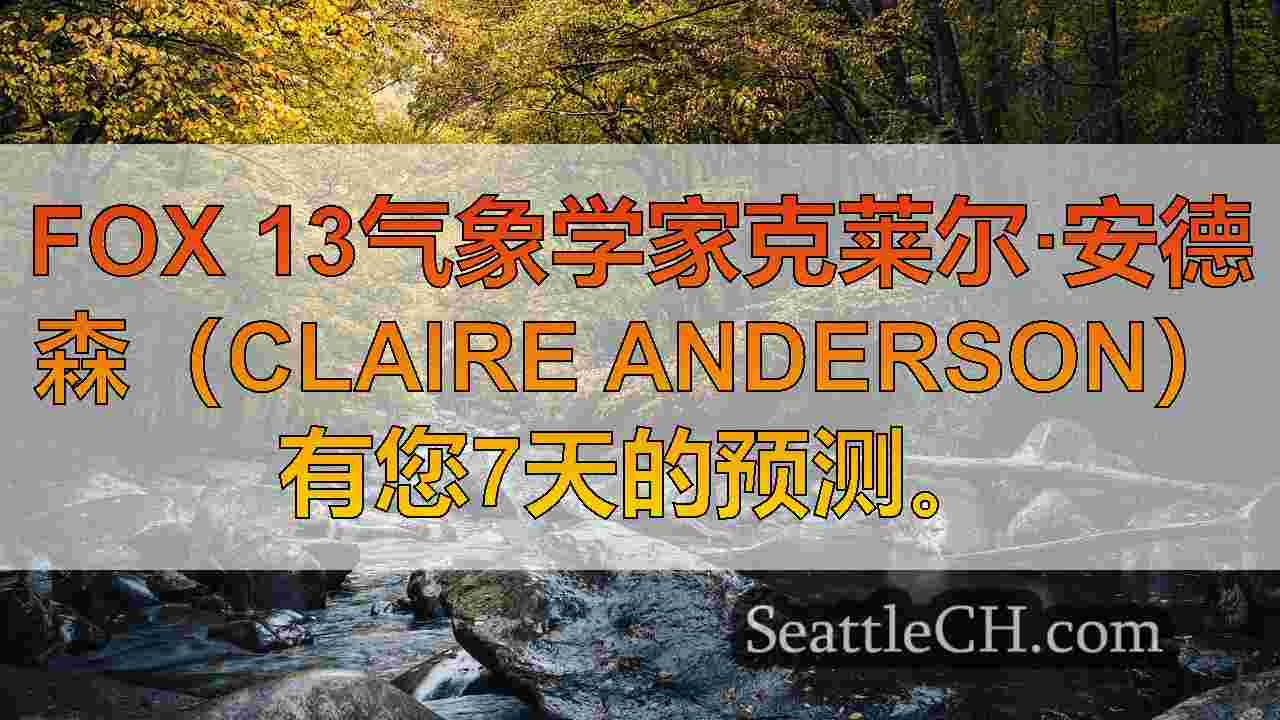 西雅图新闻 SeattleCH