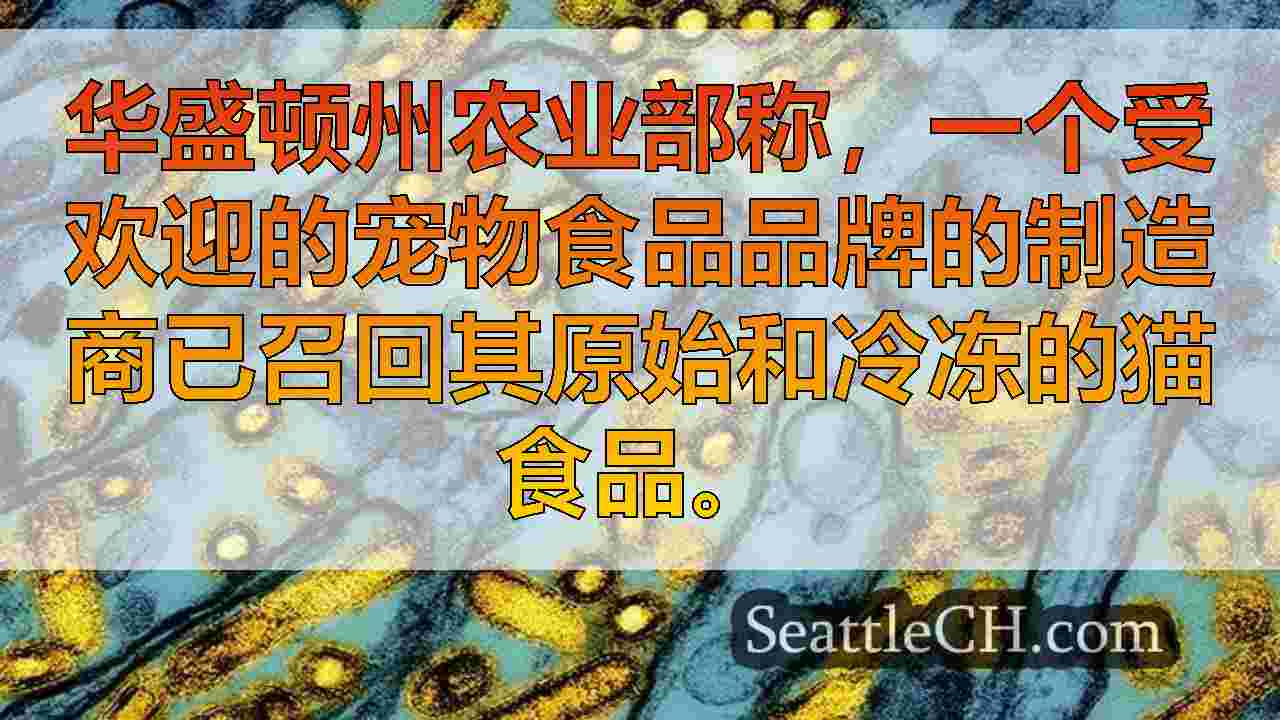 西雅图新闻 SeattleCH