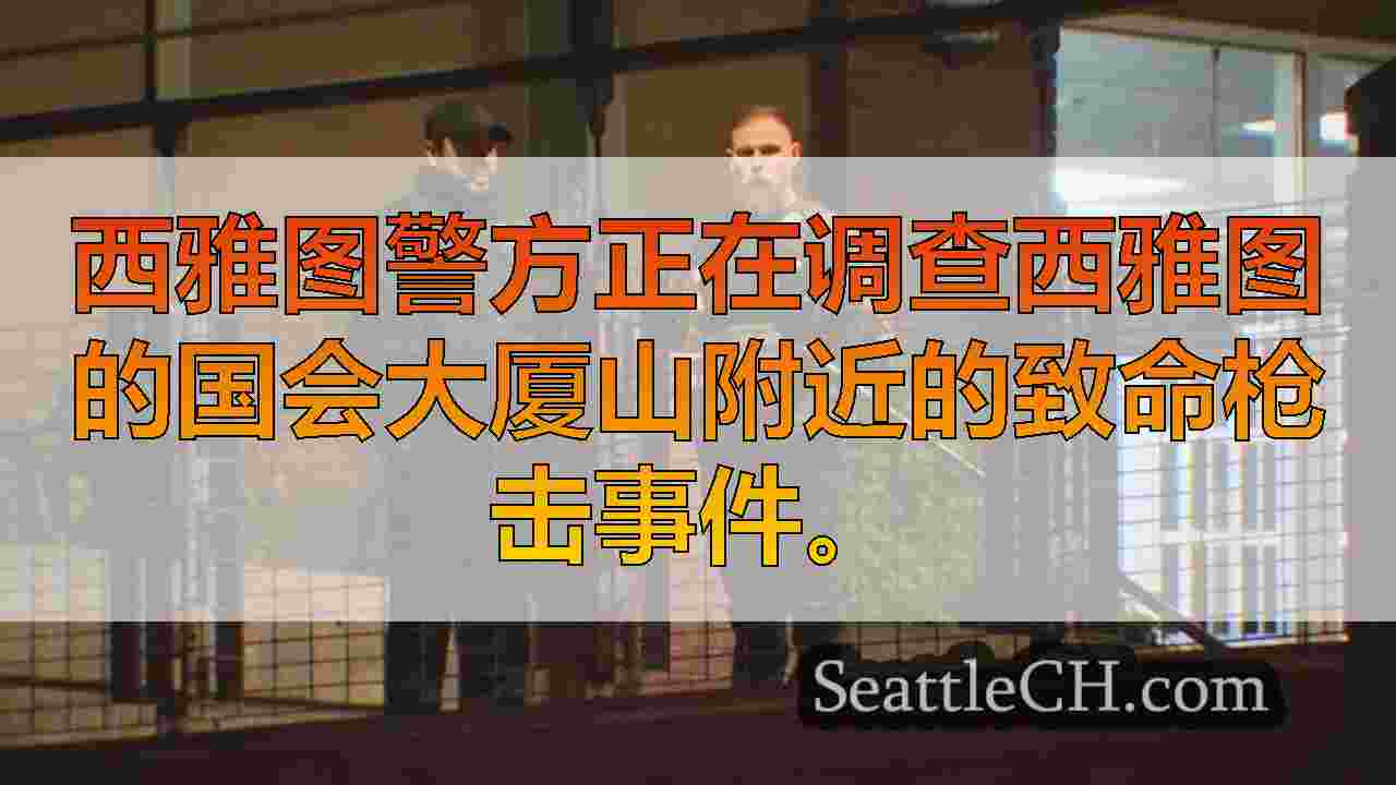 西雅图新闻 SeattleCH