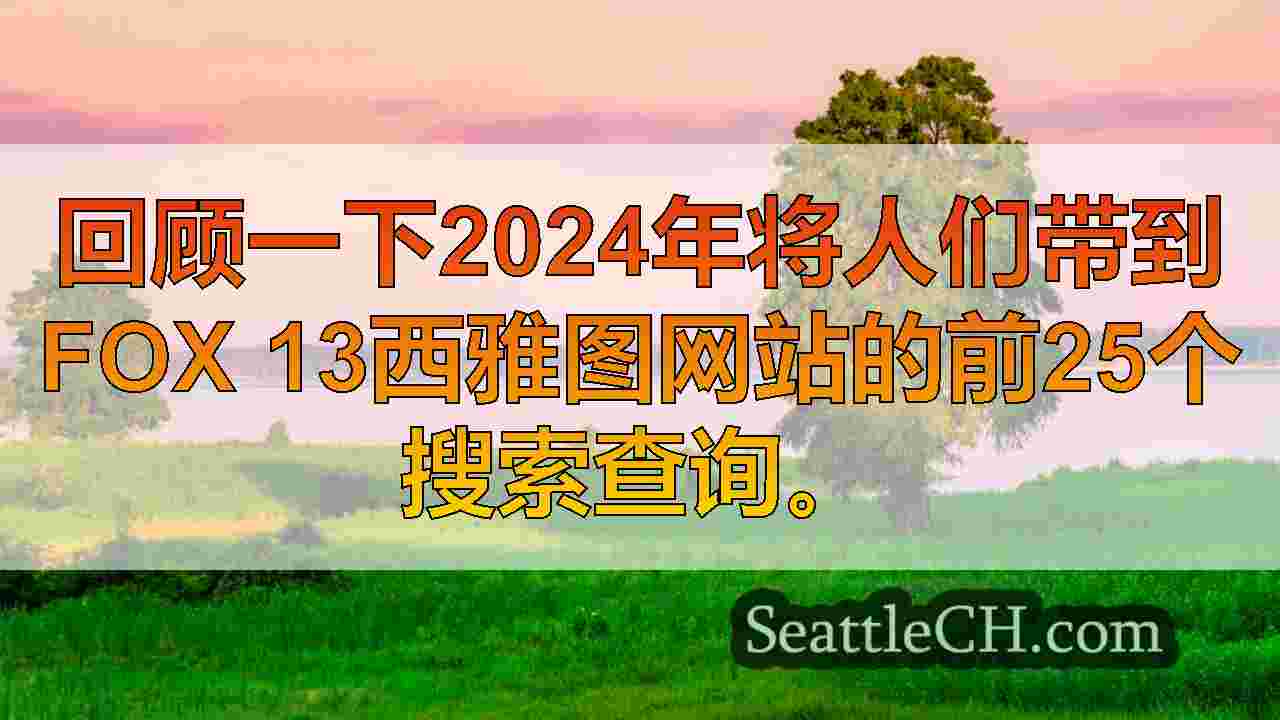 西雅图新闻 SeattleCH