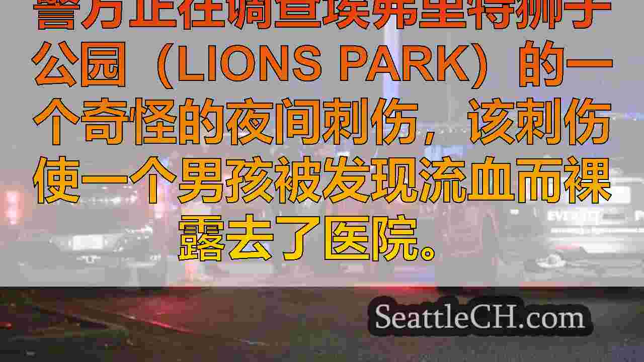 西雅图新闻 SeattleCH