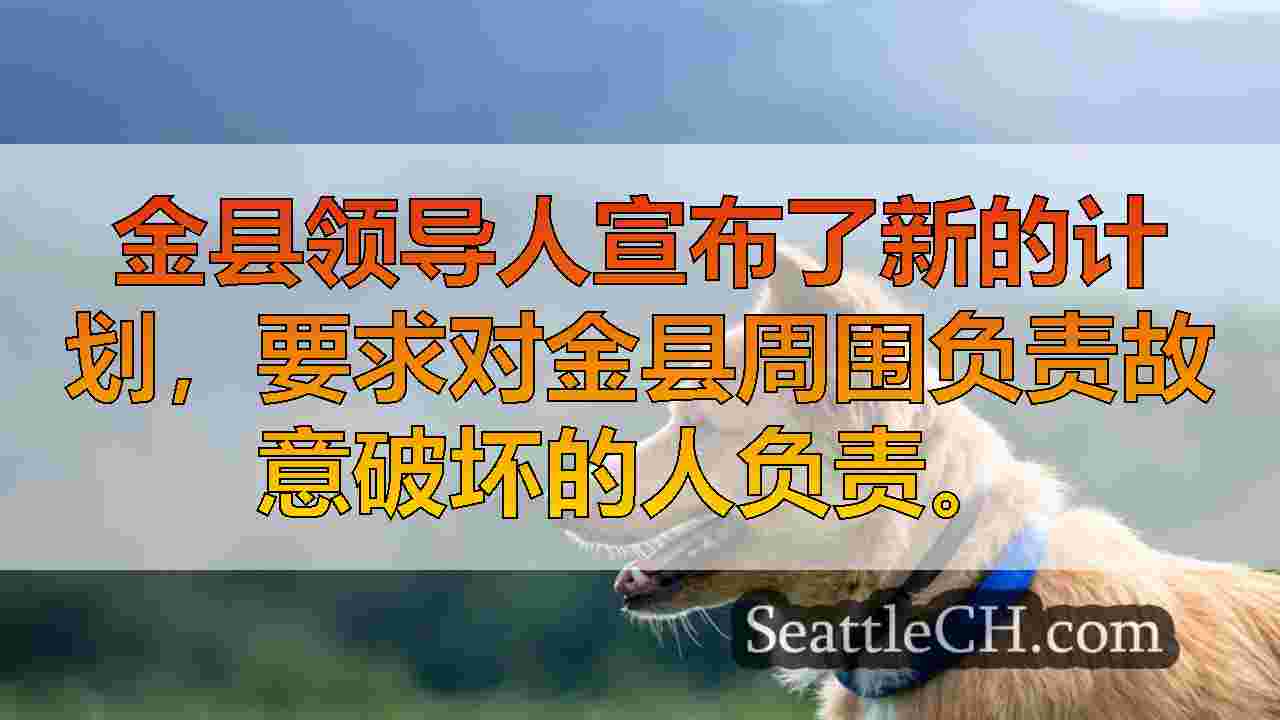 西雅图新闻 SeattleCH