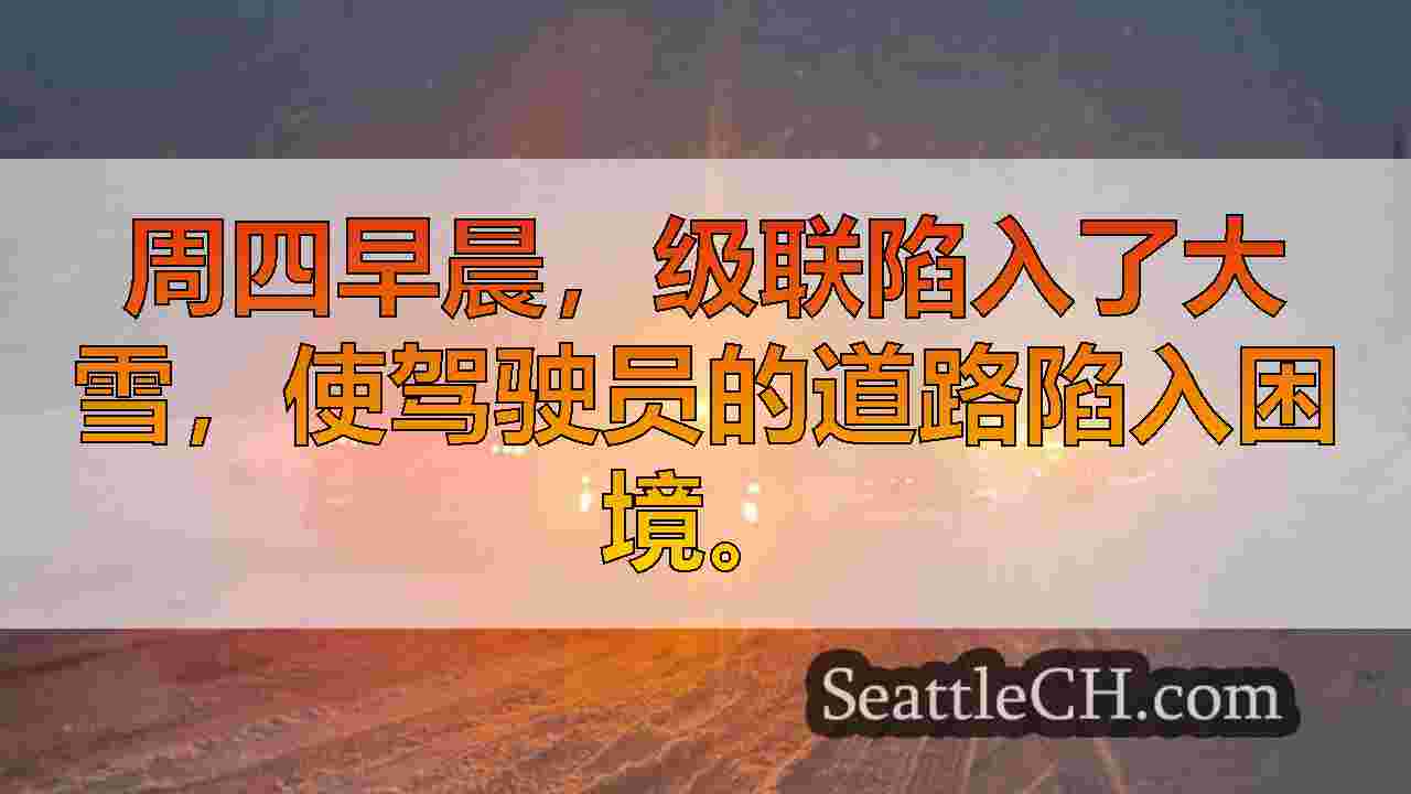 西雅图新闻 SeattleCH