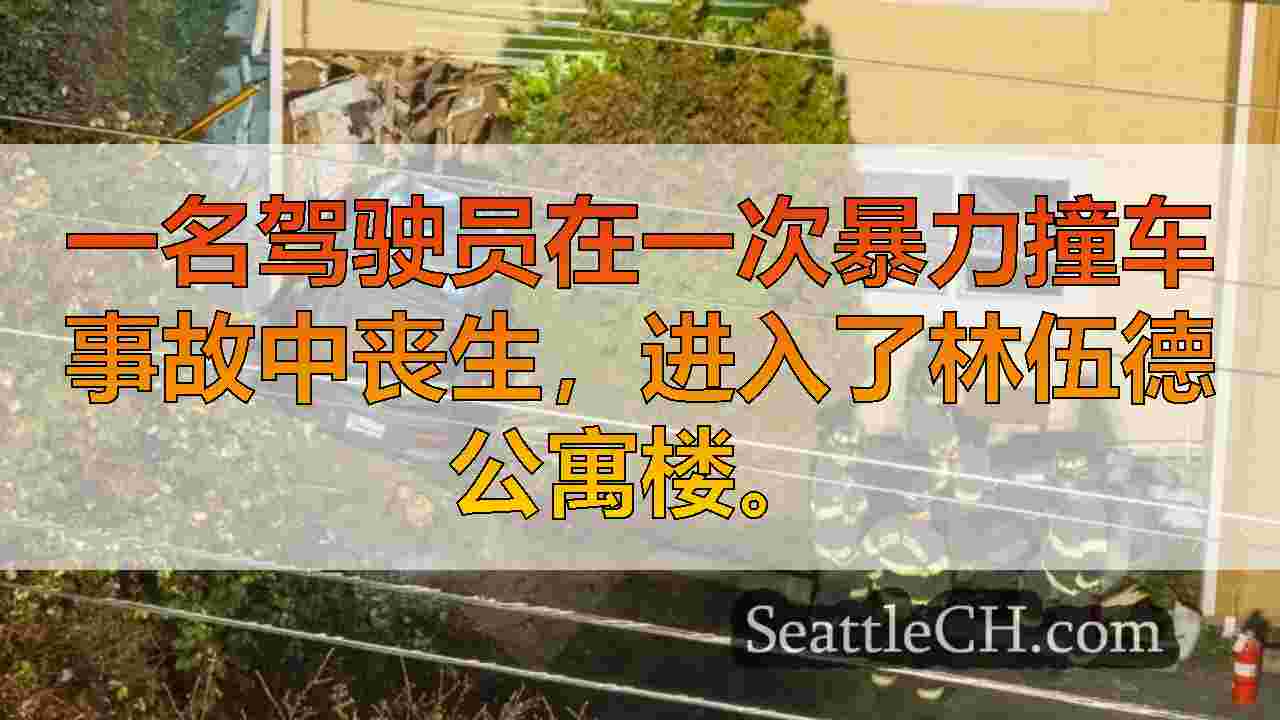 驾驶员在暴力撞车中被杀