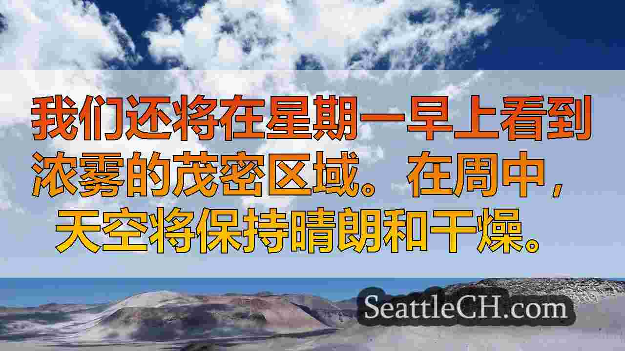 西雅图新闻 SeattleCH