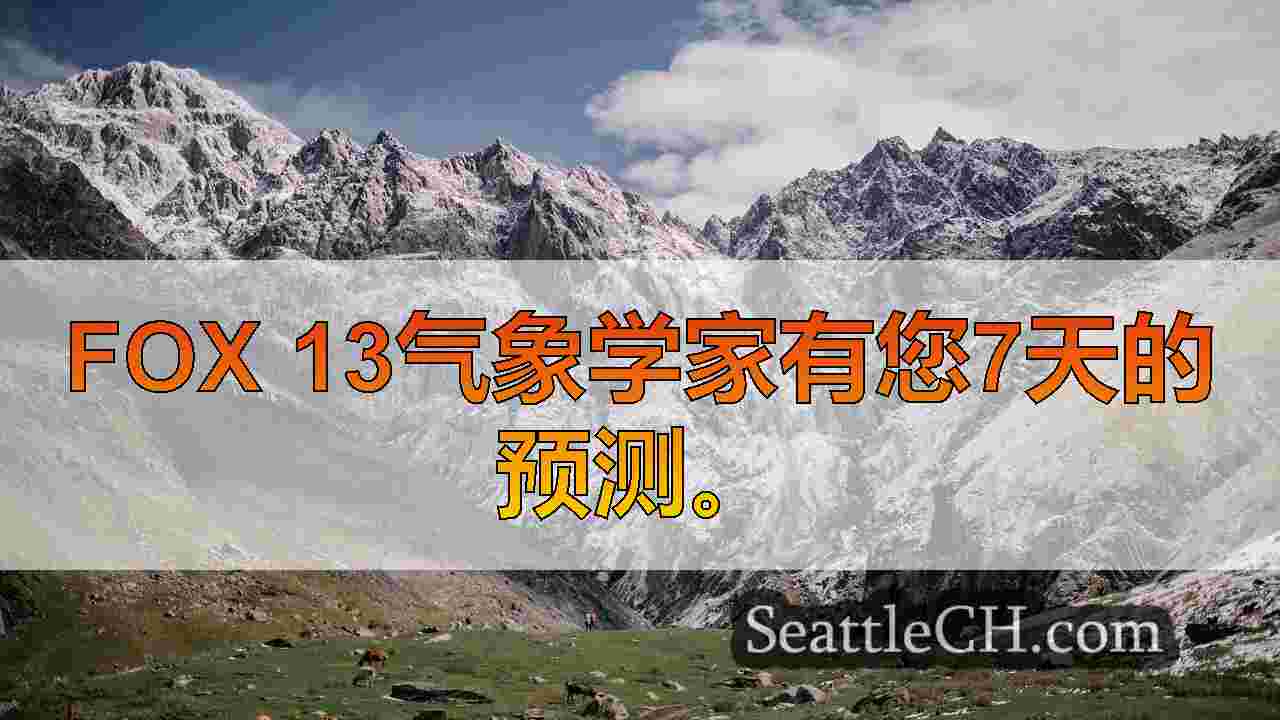 西雅图新闻 SeattleCH