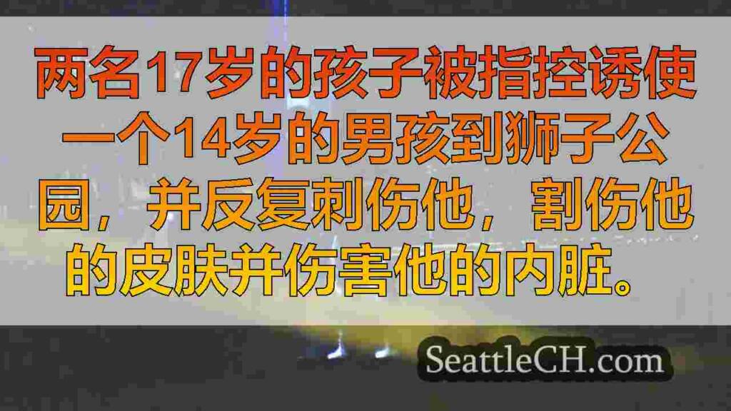 青少年被控以暴力袭击为成年人，在埃弗里特公园（Everett