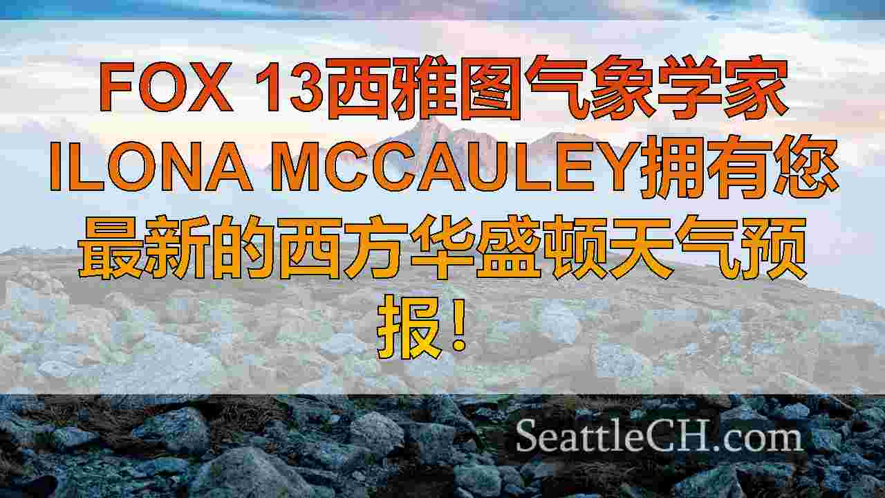 西雅图新闻 SeattleCH