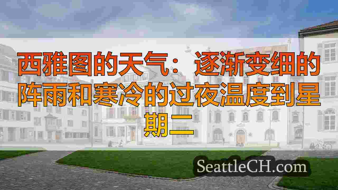 西雅图新闻 SeattleCH