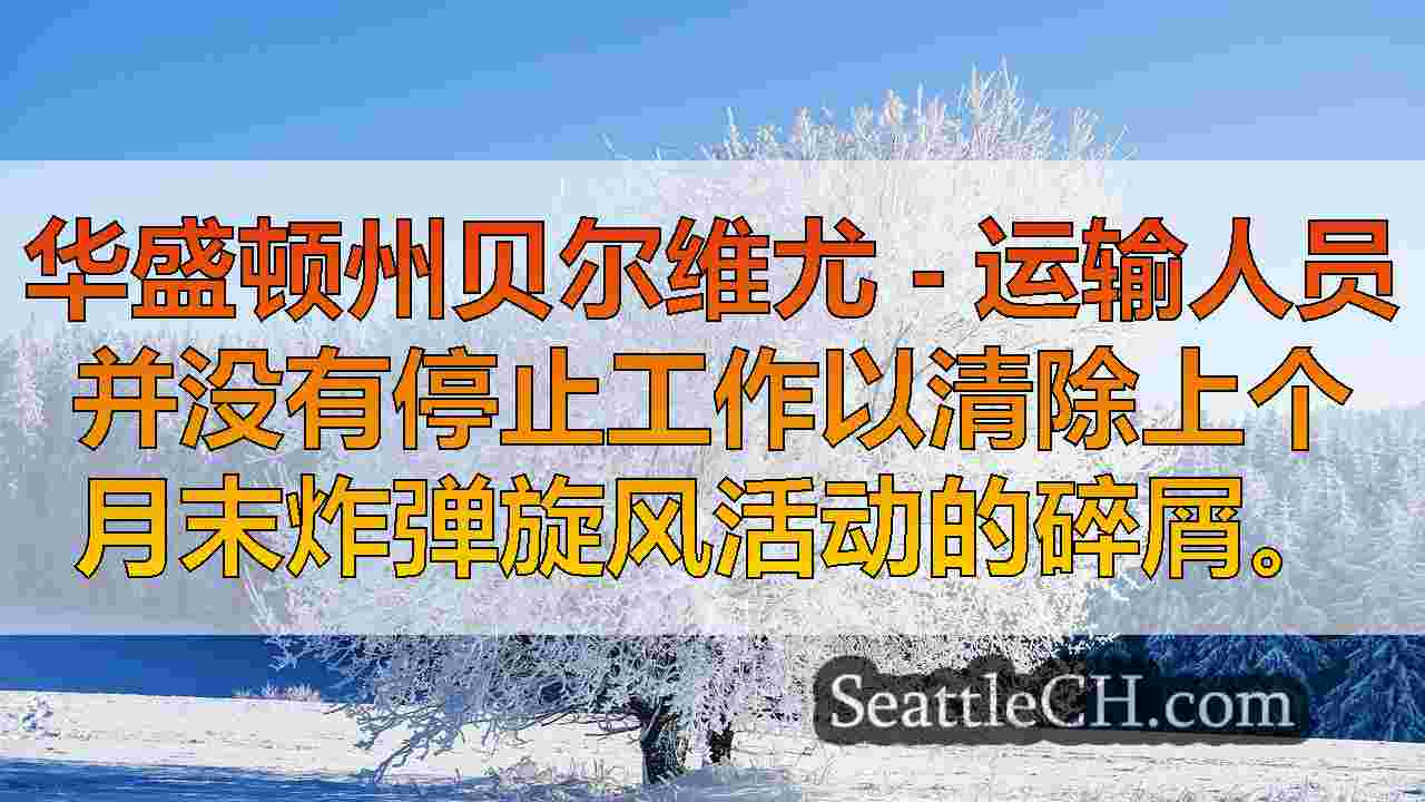 贝尔维尤（Bellevue），西澳大利亚州的船员继续炸弹旋风碎屑清理假期周末